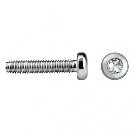 Tornillo rosca trilobular NT85T TAPTITE 2000® con cabeza alomada TORX®